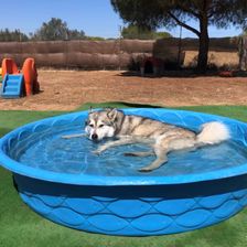 piscina canina villacan1