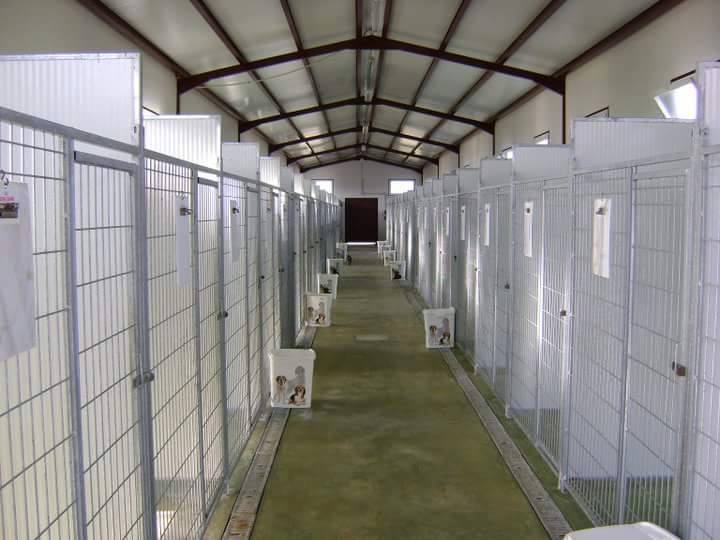 Residencia canina Huelva villacan2