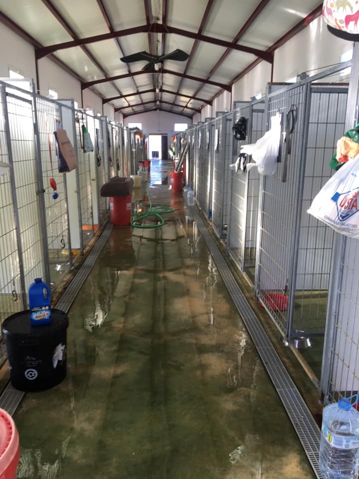 Residencia canina Huelva villacan4